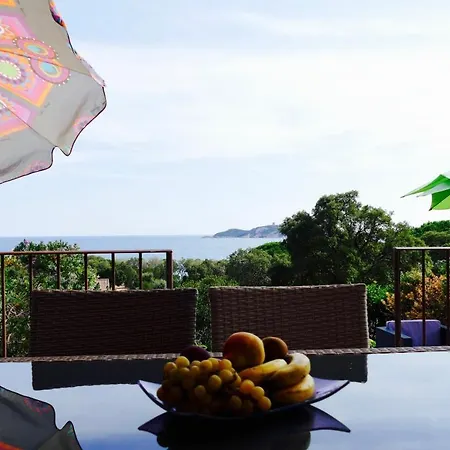 Villa A Pinarello-2mn A Pied De La Plage-vue Pinarellu